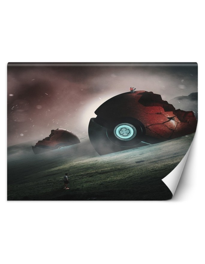 Oryginalne fototapety - Pokemony Zehem Chong | FEEBY