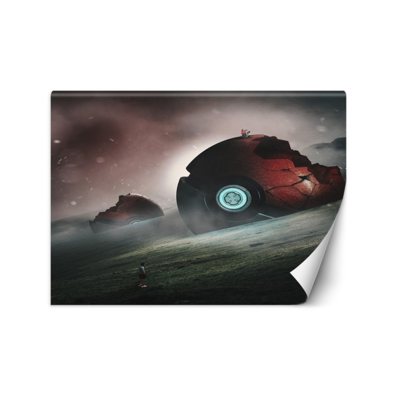 Oryginalne fototapety - Pokemony Zehem Chong | FEEBY