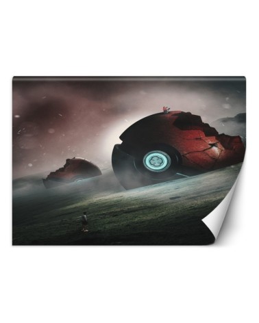 Oryginalne fototapety - Pokemony Zehem Chong | FEEBY