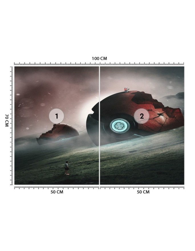 Oryginalne fototapety - Pokemony Zehem Chong | FEEBY