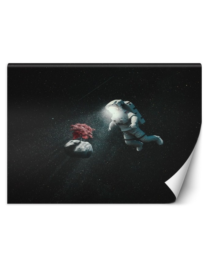 Nowoczesne fotatapety - Astronauta i asteroida Zehem Chong | FEEBY