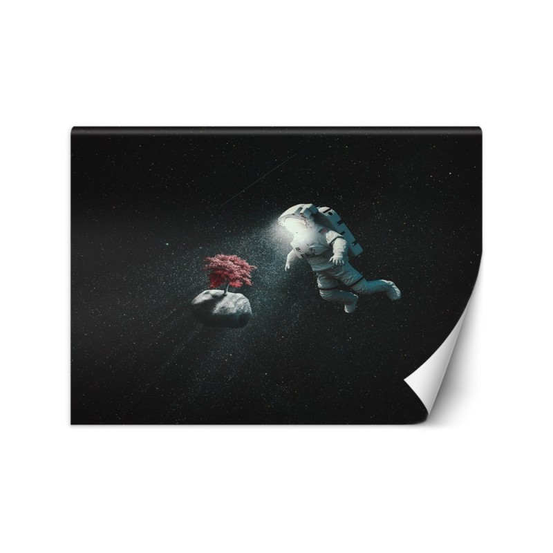 Nowoczesne fotatapety - Astronauta i asteroida Zehem Chong | FEEBY