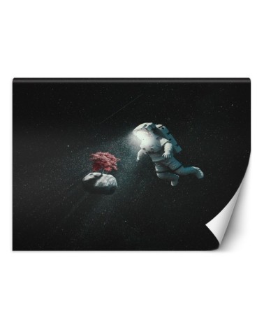 Modern wall murals - Astronaut and asteroid Zehem Chong | FEEBY