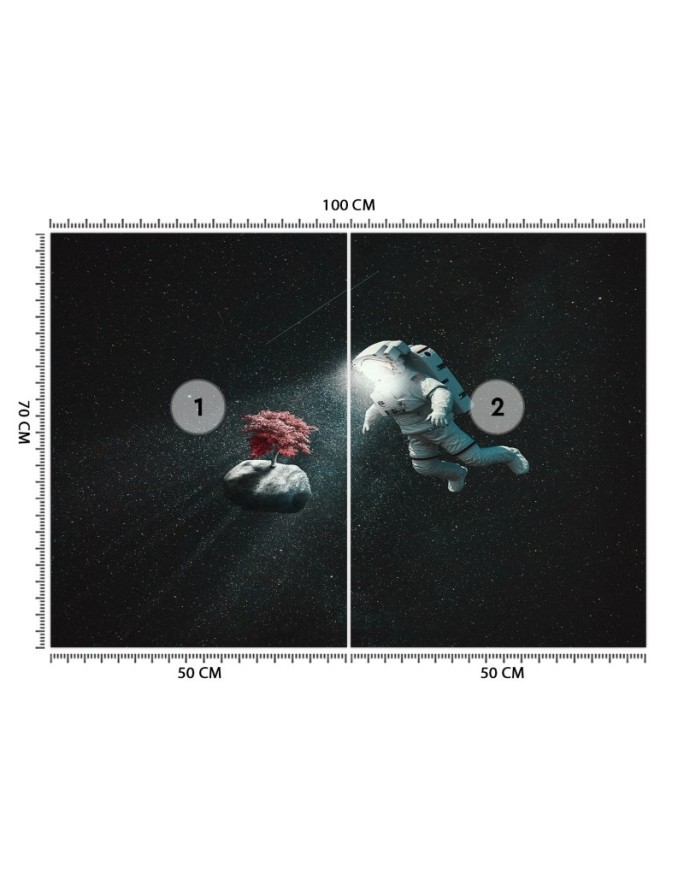 Nowoczesne fotatapety - Astronauta i asteroida Zehem Chong | FEEBY