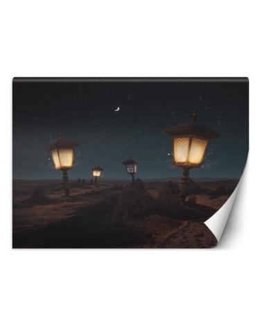 Artist wall murals - Dark desert Zehem Chong | FEEBY