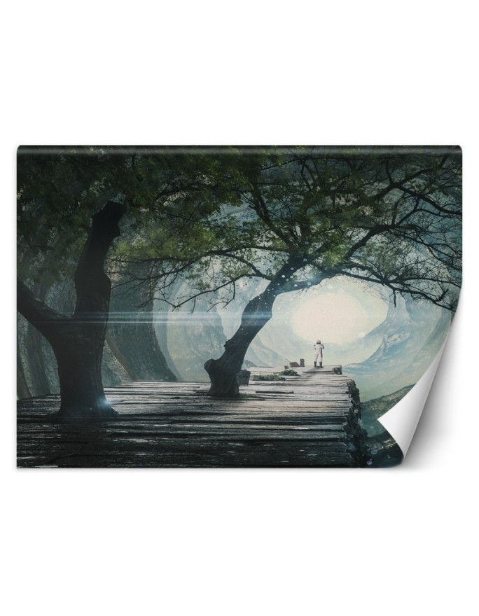 Nowoczesne fototapety - Most w jaskini Zehem Chong | FEEBY