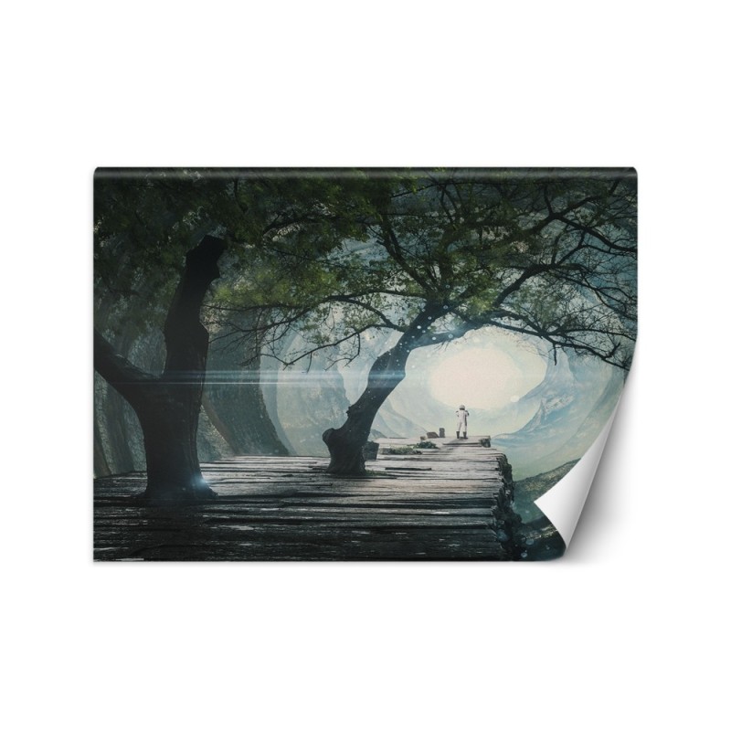 Nowoczesne fototapety - Most w jaskini Zehem Chong | FEEBY