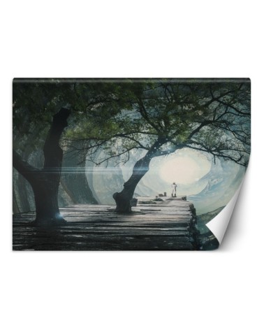 Nowoczesne fototapety - Most w jaskini Zehem Chong | FEEBY