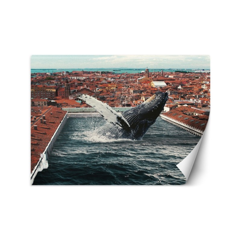 Piękne fototapety dla domu - Czysta magia Zehem Chong | FEEBY