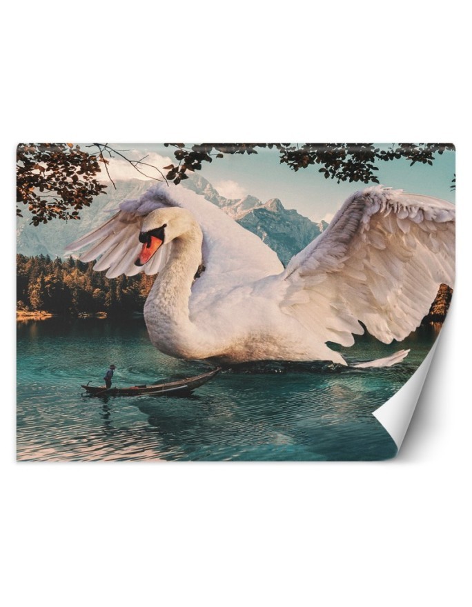 Unikalne fototapety - Wielki łabędź Zehem Chong | FEEBY