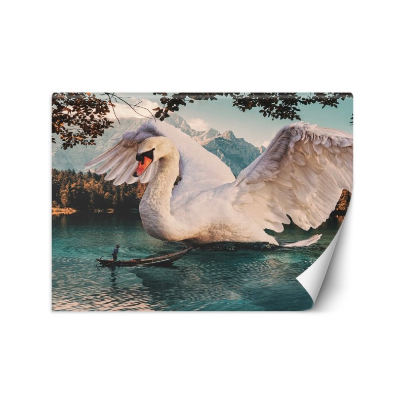Unikalne fototapety - Wielki łabędź Zehem Chong | FEEBY