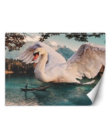Unikalne fototapety - Wielki łabędź Zehem Chong | FEEBY