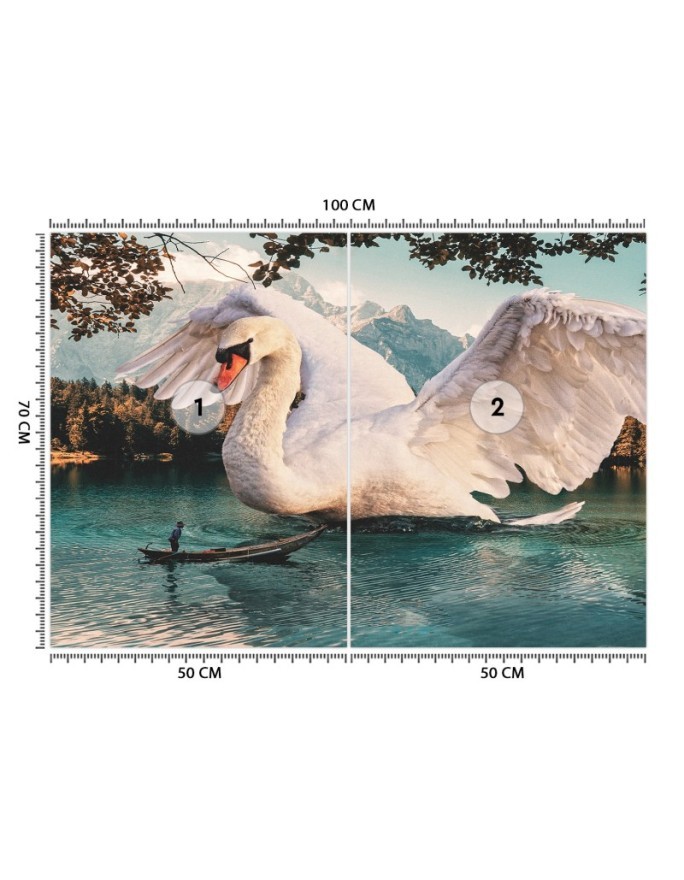 Unikalne fototapety - Wielki łabędź Zehem Chong | FEEBY