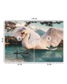 Unikalne fototapety - Wielki łabędź Zehem Chong | FEEBY