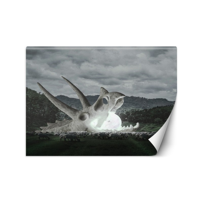 Inspirational Wallpaper - Skull in a pasture Zehem Chong | FEEBY