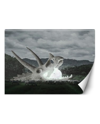 Inspirational Wallpaper - Skull in a pasture Zehem Chong | FEEBY