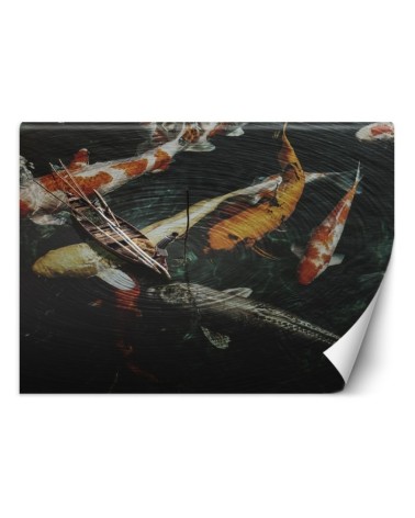 Living room Wallpaper - Koi fish Zehem Chong | FEEBY