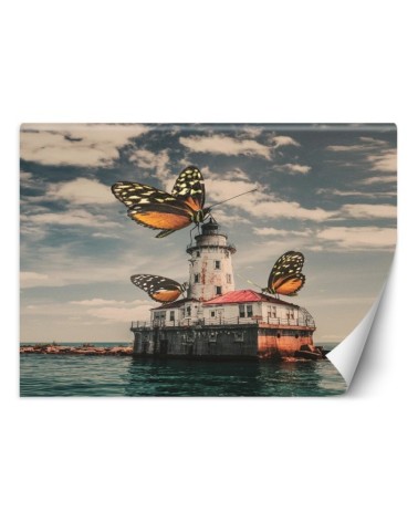 Oryginalne fototapety - Motyle Zehem Chong | FEEBY