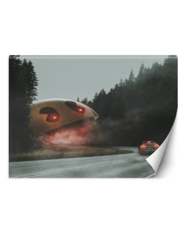 Living room wall mural - Unforgettable game Zehem Chong | FEEBY