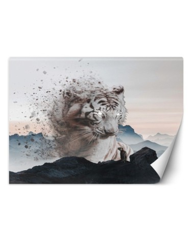 Fototapeta dla domu - Tygrys Zehem Chong | FEEBY