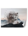 Fototapeta dla domu - Tygrys Zehem Chong | FEEBY