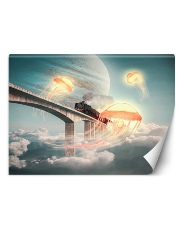 Art wall mural - Jellyfish in the sky Zehem Chong | FEEBY