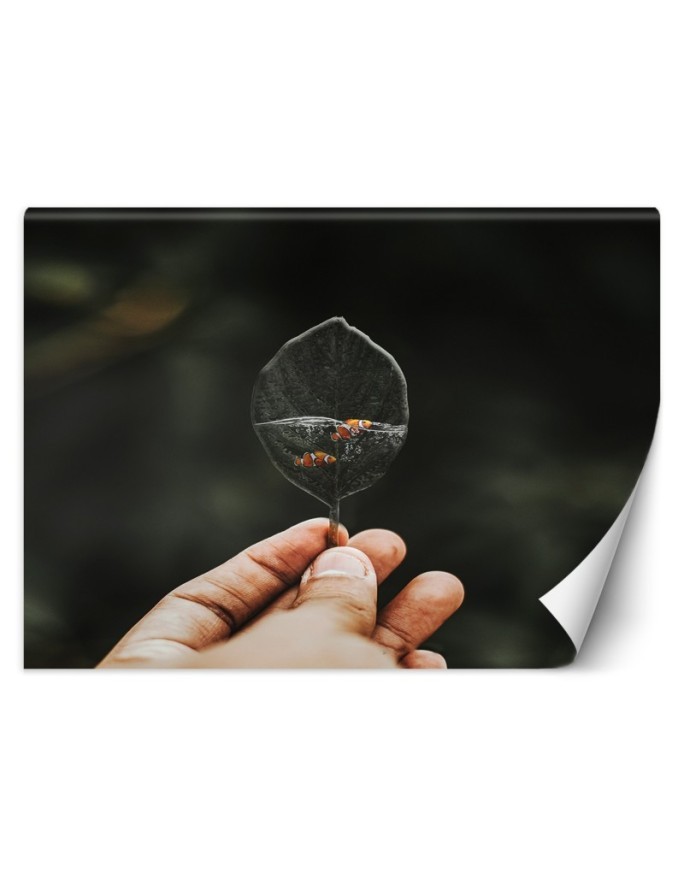 Nowowczesne fototapety - Mini akwarium Zehem Chong | FEEBY