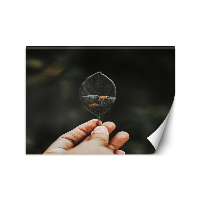 Nowowczesne fototapety - Mini akwarium Zehem Chong | FEEBY