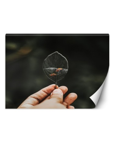 Nowowczesne fototapety - Mini akwarium Zehem Chong | FEEBY