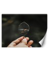 Nowowczesne fototapety - Mini akwarium Zehem Chong | FEEBY