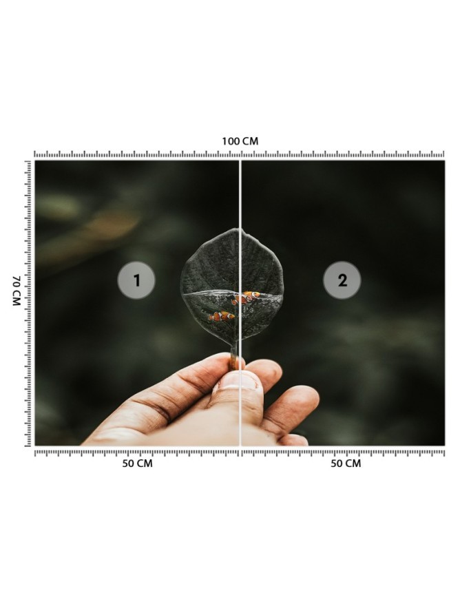 Nowowczesne fototapety - Mini akwarium Zehem Chong | FEEBY