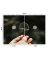 Nowowczesne fototapety - Mini akwarium Zehem Chong | FEEBY