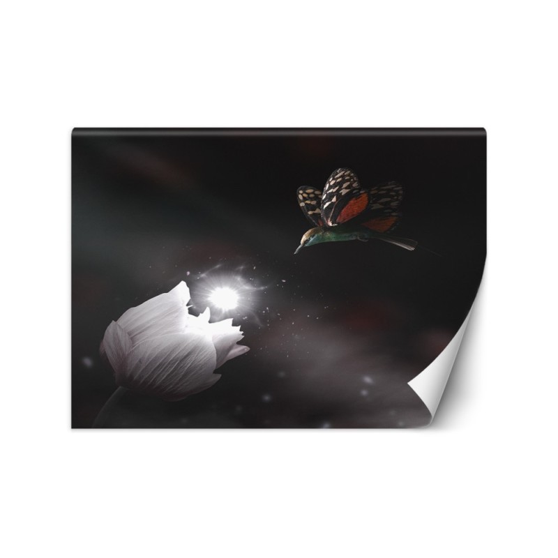 Fototapeta do salonu - Koliberek i magiczny kwiat Zehem Chong | FEEBY