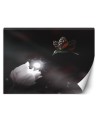 Fototapeta do salonu - Koliberek i magiczny kwiat Zehem Chong | FEEBY