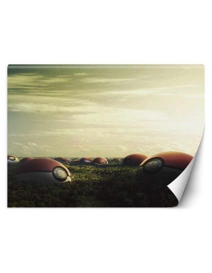 Fototapety dla domu - Pokemon pole Zehem Chong | FEEBY