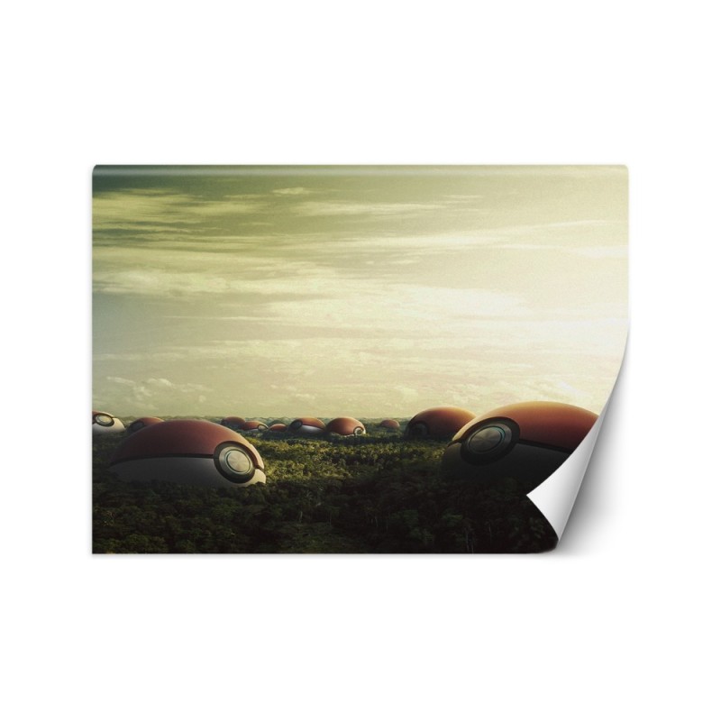 Fototapety dla domu - Pokemon pole Zehem Chong | FEEBY
