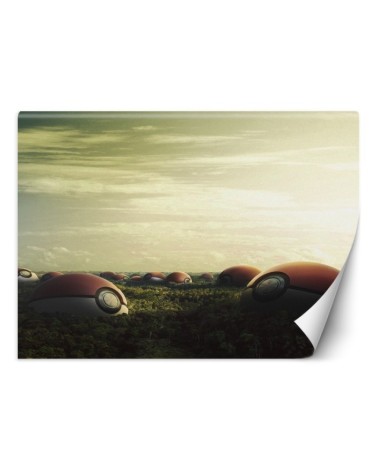 Wallpapers for the home - Pokemon field Zehem Chong | FEEBY