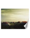 Fototapety dla domu - Pokemon pole Zehem Chong | FEEBY