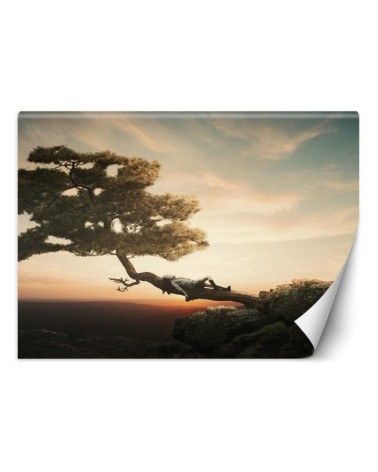 Wallpaper - Resting over the precipice Zehem Chong | FEEBY