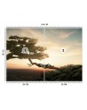 Fototapeta na ścianę - Odpoczynek nad przepaścią Zehem Chong | FEEBY