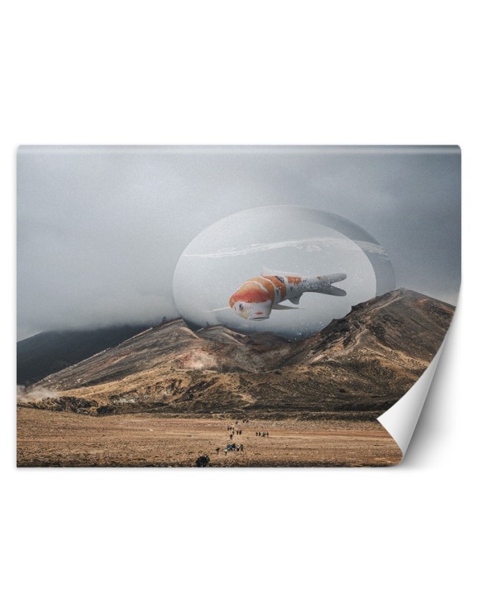 Fototapeta na ścianę - Rybka koi Zehem Chong | FEEBY