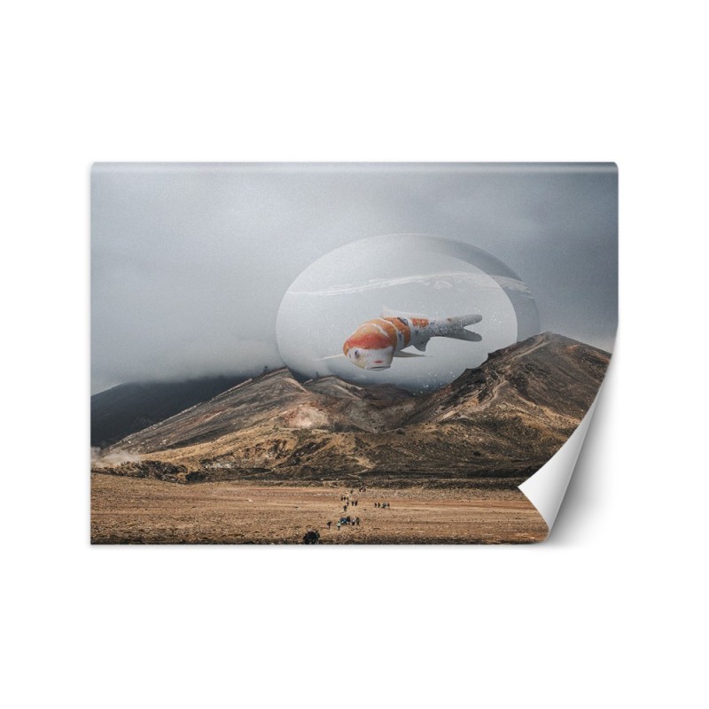 Fototapeta na ścianę - Rybka koi Zehem Chong | FEEBY
