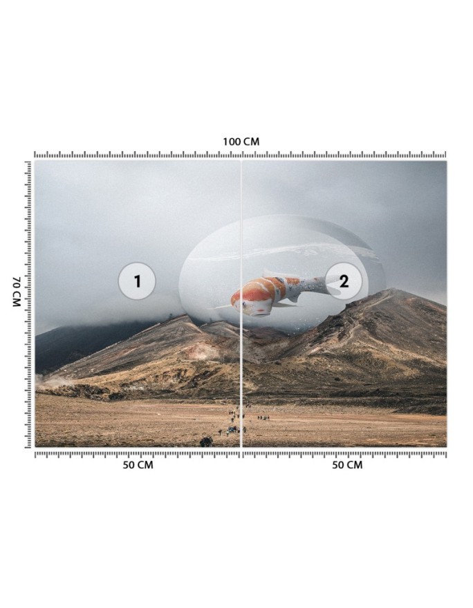 Fototapeta na ścianę - Rybka koi Zehem Chong | FEEBY