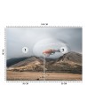Fototapeta na ścianę - Rybka koi Zehem Chong | FEEBY