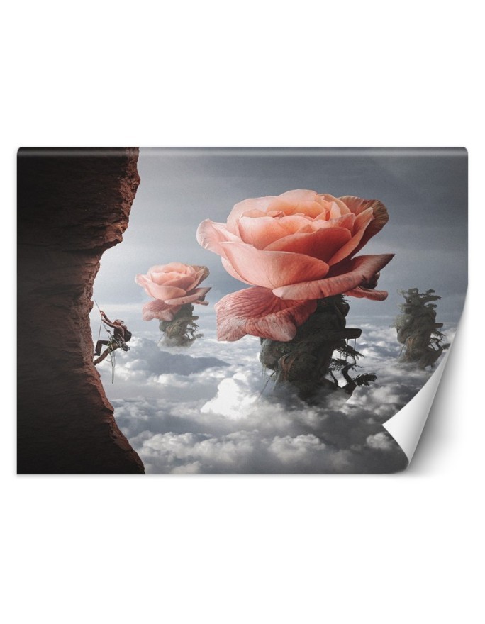 Designerskie fototapety - Róża chmury Zehem Chong | FEEBY