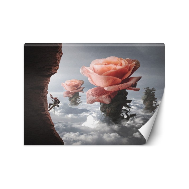 Designerskie fototapety - Róża chmury Zehem Chong | FEEBY