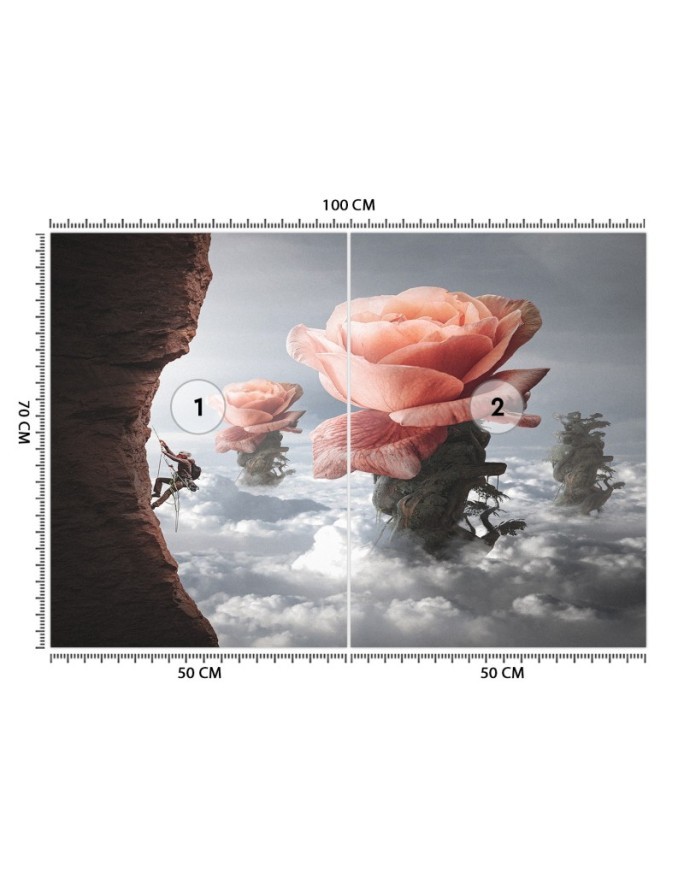 Designerskie fototapety - Róża chmury Zehem Chong | FEEBY