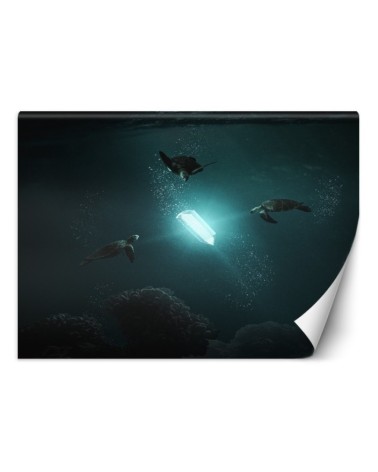 Inspirujące fototapety - Promień światła Zehem Chong | FEEBY