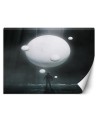 Fototapeta abstrakcyjna - Biała planeta | FEEBY