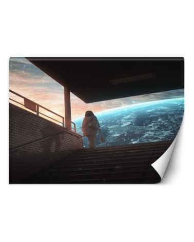 Stylish wall murals - Journey into the unknown Zehem Chong | FEEBY